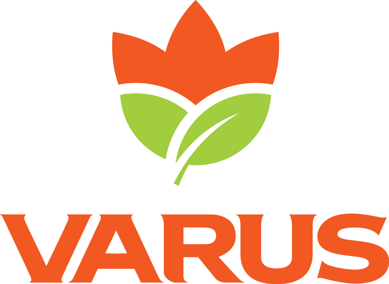 varus_logo_orange-05.jpg.pagespeed.ce.6O_6aGTjnB Клиенты