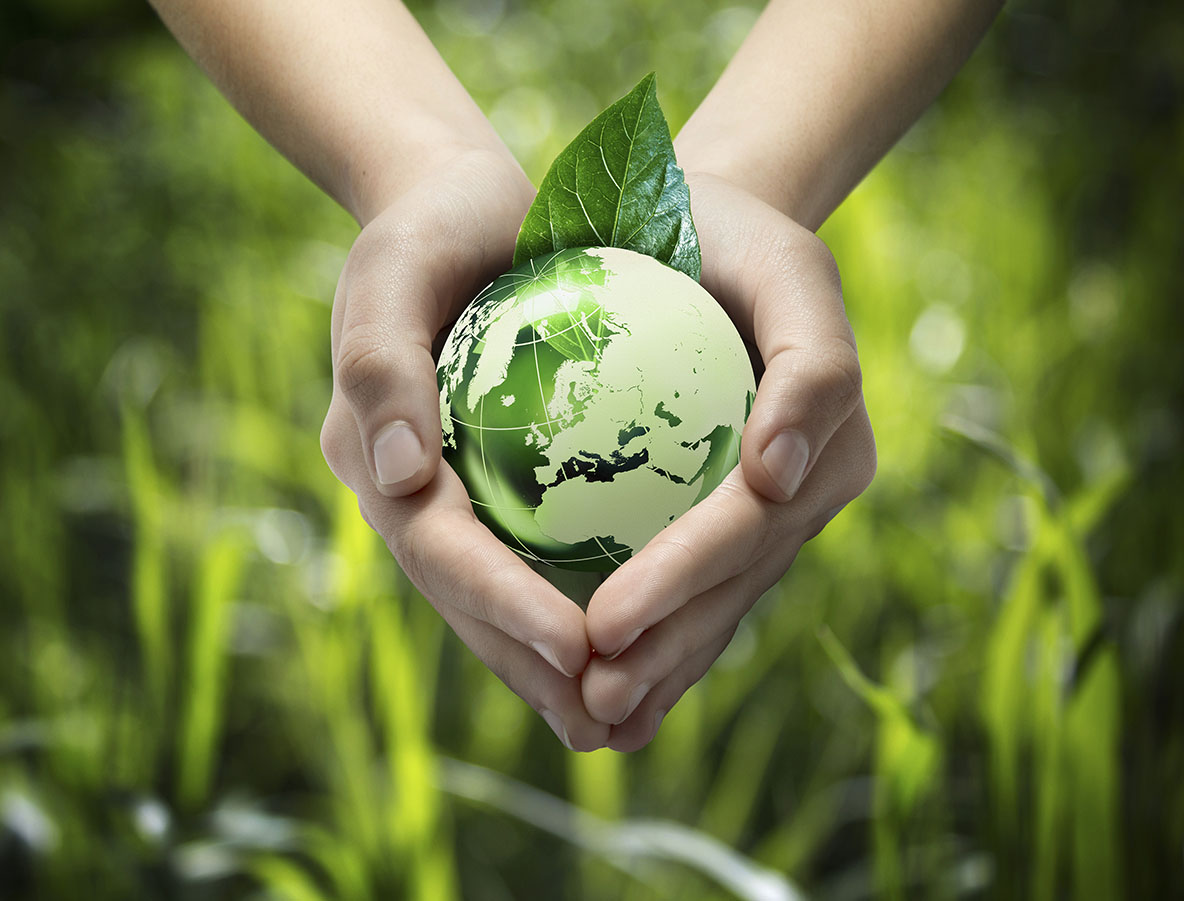 ccc-eco-friendly