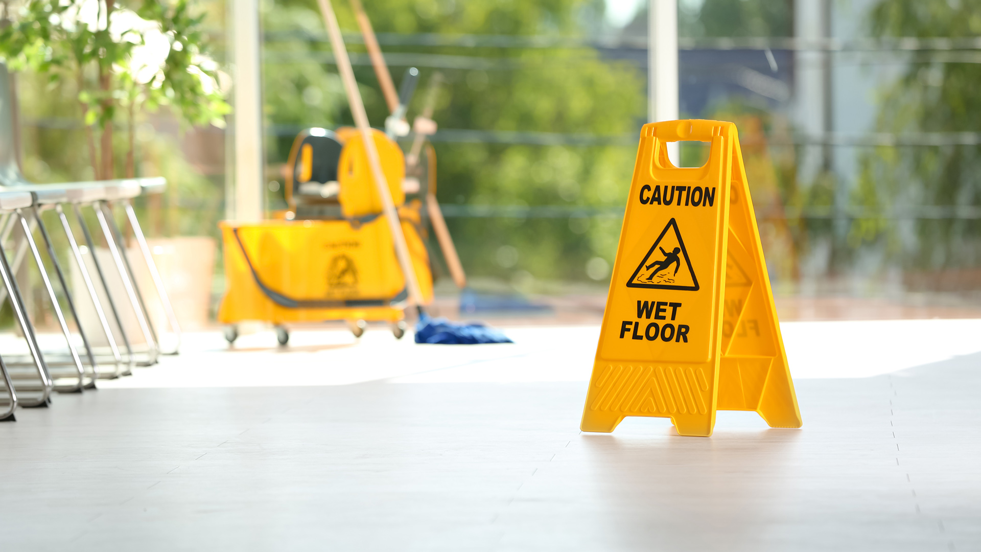 ecogiants-services-janitorial